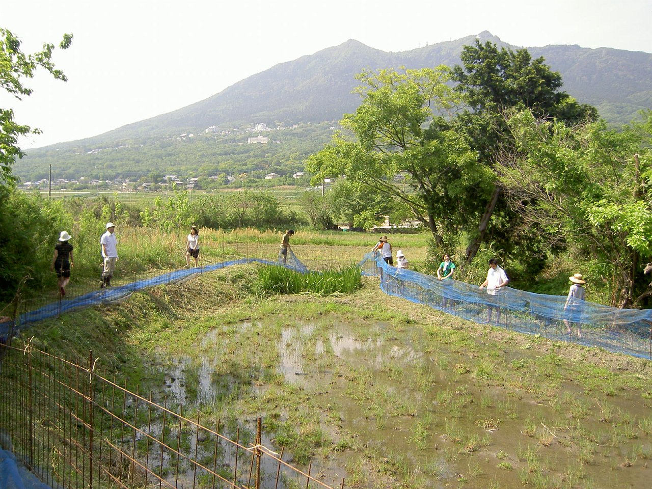 setting up the fence.jpg